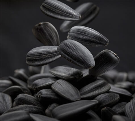 Новый попкорн